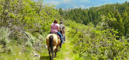 MONDAY - Horseback Riding